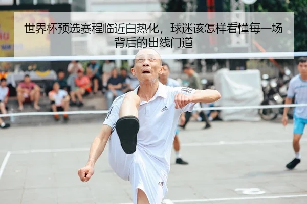 世界杯预选赛程临近白热化，球迷该怎样看懂每一场背后的出线门道